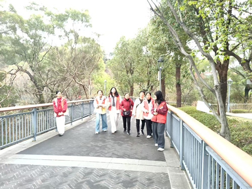 健步金鸡山   春意正浓时